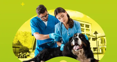 Medicina Veterinaria