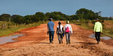 Proyección social