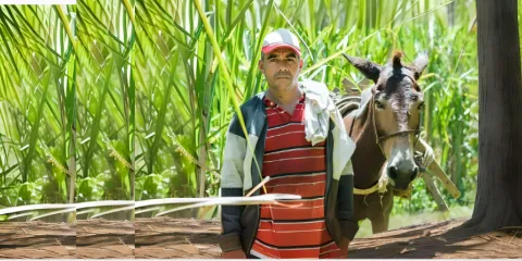 De alerta naranja a roja: Gestión del riesgo y ordenamiento territorial en la ruralidad colombiana