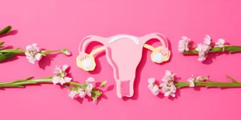 La Ley de Endometriosis: ¿de qué trata?