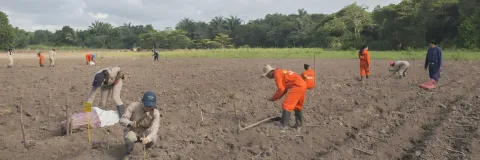 Actividades y sustancias contaminantes del suelo