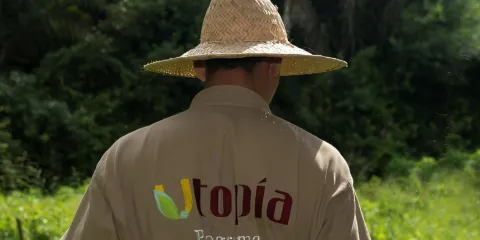 Campesinado como sujeto de derechos