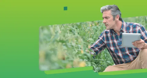 Maestría en Agronegocios