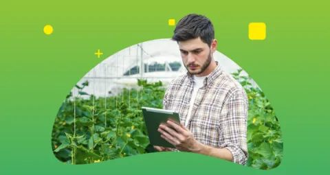 Técnico Profesional en Producción Agropecuaria