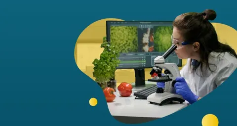 Bioingeniería