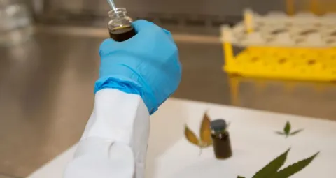 LIAC - Cannabis