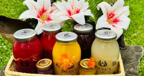 productos emprendimiento egresada Lasallista
