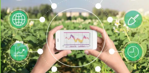 Un campo de cultivo con plantas verdes. Una persona sostiene un teléfono móvil que muestra un gráfico de líneas. Alrededor del teléfono, hay iconos relacionados con agricultura y tecnología, conectados por líneas blancas.