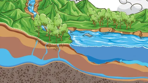 Ilustración transversal de un paisaje que muestra varios elementos del ciclo del agua
