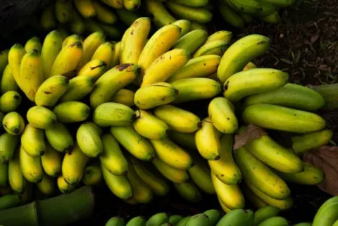 banano