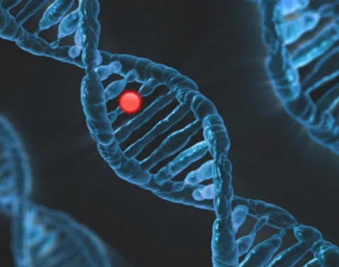 Las enfermedades raras generalmente son alteraciones genéticas que generan variaciones estructurales y funcionales de varios sistemas del cuerpo humano.