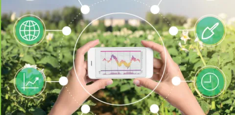 Dos manos sosteniendo un celular con gráficas - Imagen tomada de la portada del libro "Los agronegocios y sus transiciones hacia la sostenibilidad".