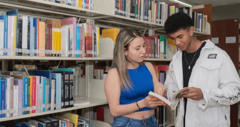 Accede a las nuevas adquisiciones de la biblioteca