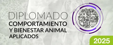Banner diplomado comportamiento y bienestar animal aplicados 2025