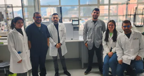 Profesores e investigadores del semillero ENTROPIQ.