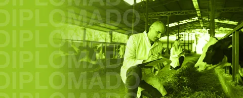 Veterinarios atendiendo un hato