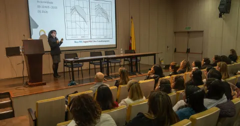 Terapia visual a la luz de la evidencia