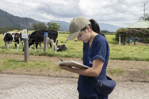 educacion en territorio