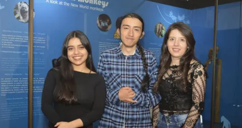 Ganadores del concurso
