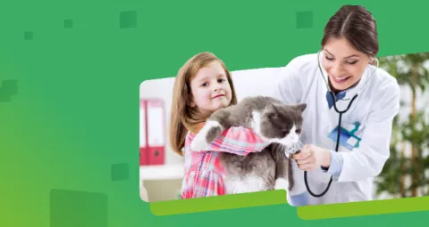 Banner Especialización en Medicina Interna de Pequeños Animales