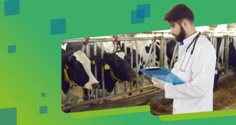 Banner Especialización en Medicina Interna de Grandes Animales