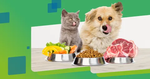 Banner Especialización de Animales de Compañía