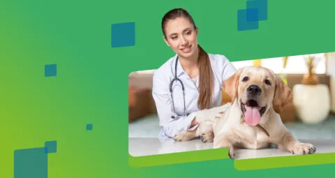 Banner Maestría en Ciencias Veterinarias