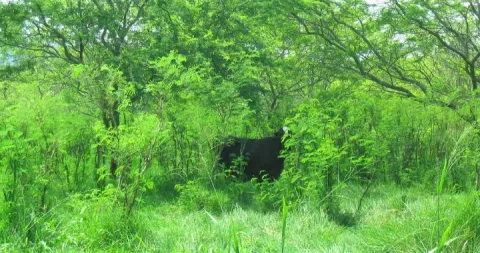 Agroecología Unisalle