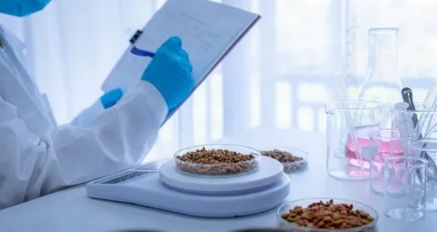 Nutrición humana 