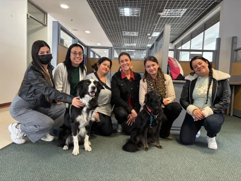 Equipos reciben visita de caninos