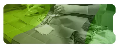 Médico veterinario profesional realizando un procedimiento quirúrgico a un pequeño animal/gato
