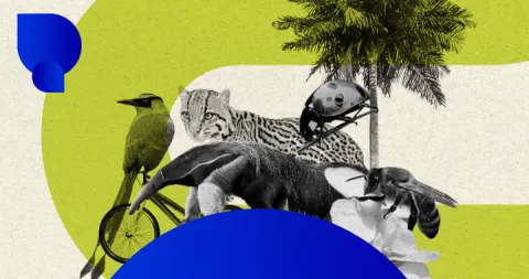 Infografía gestión de recursos naturales