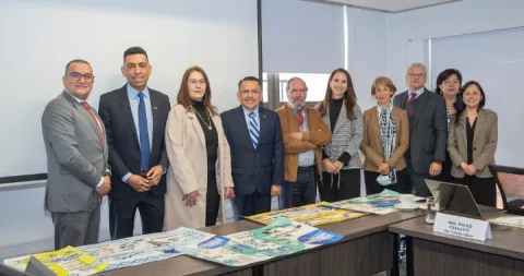 Visita pares externos