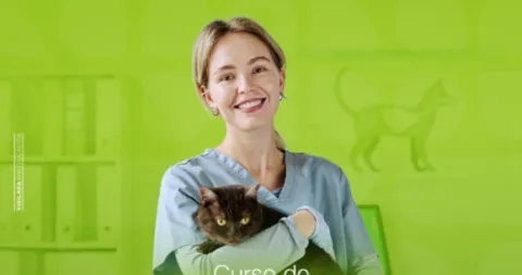 Ecografía abdominal de perros y gatos nivel básico-intermedio