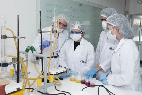 Ingenieros químicos