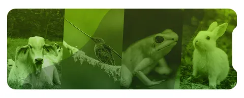 Comportamiento y Bienestar Animal Aplicados