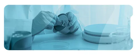 Determinación de la vida útil de alimentos envasados