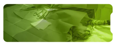 Inmersión práctica en cirugía de ortopedia veterinaria