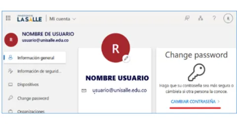 Pantalla de cuenta institucional con opciones de seguridad y cambio de contraseña.