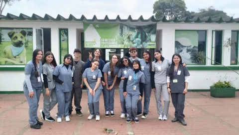 Tecnico auxiliar en clinica veterinaria