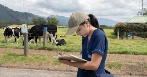 Estudiante Unisalle diligenciando formatos