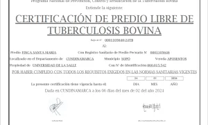Certificaciones