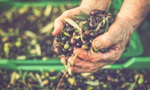 Agricultura familiar