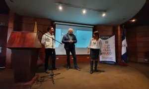 Avances y proyecciones de CLEO