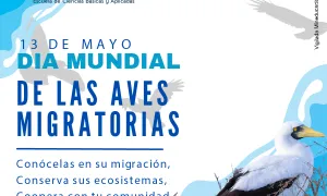 El día mundial de las aves migratorias