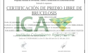 Certificaciones