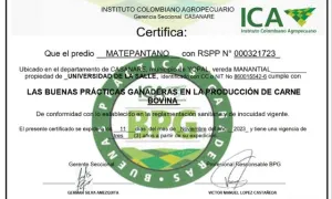 Certificaciones