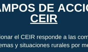 Campos de Acción