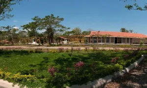 La educación como fundamento para la construcción de paz