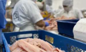 Instituciones Vinculadas